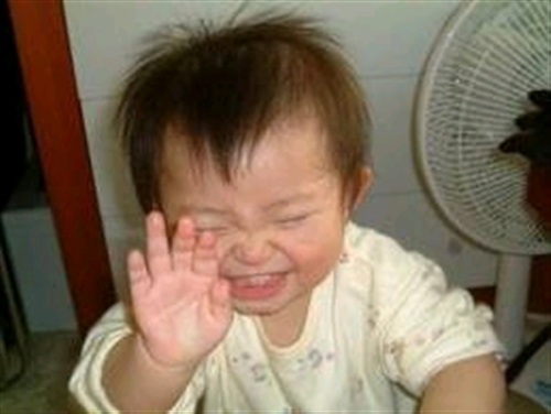 �j�[�`�F�ƃj�[�g�̈Ⴂ