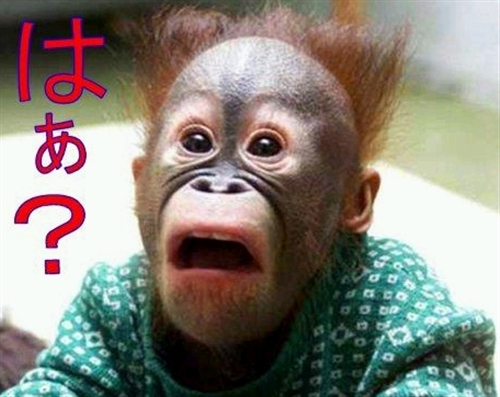 ���S�͂��o���ɂ�����