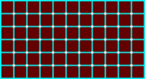 �����_�������Č����܂����H