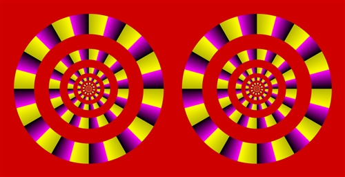 ����Č����܂����H