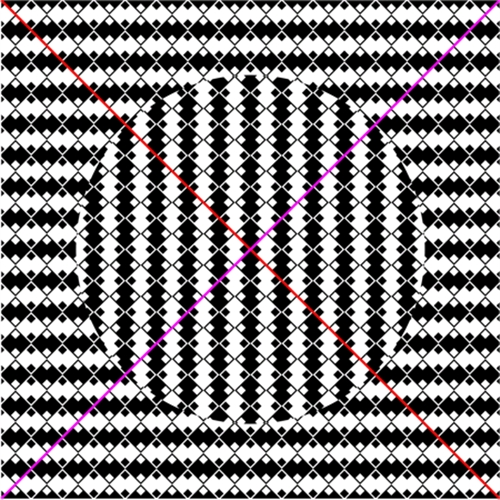 �䂪��Ō�����Ίp��