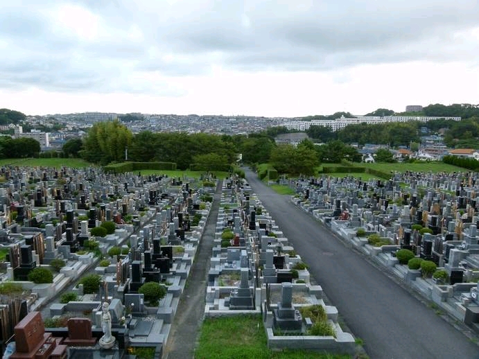 向かいのマンションの女が双眼鏡でこっち見てるっぽいんだが