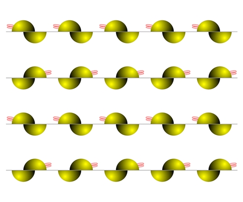 �X�����s��