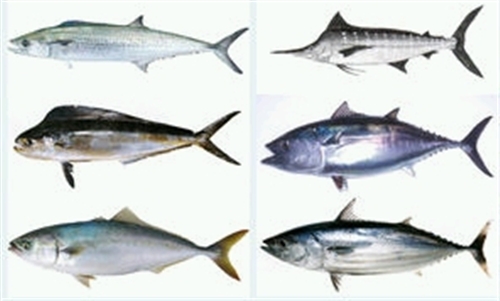 ���̉���̃A���o�C�g