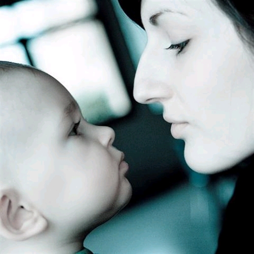 �q���ɂ���Ă͂����Ȃ�������A�\����