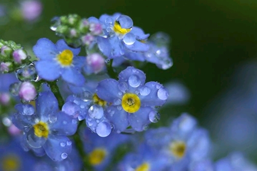 �N�����E�E�E