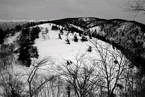 �挎�̂��Ƃł��B�`�Ɖ��͎R�֑��ʂɓ���܂����B