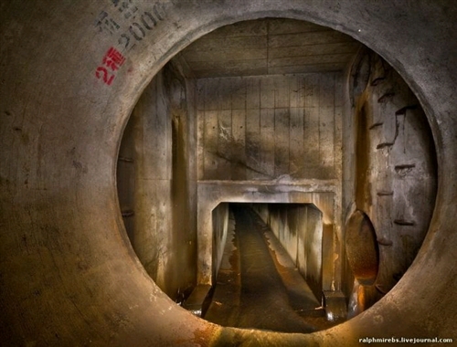 ����ɒn���S�����Ȃ��{���̗��R