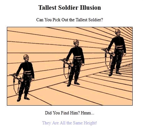 �S�������傫��