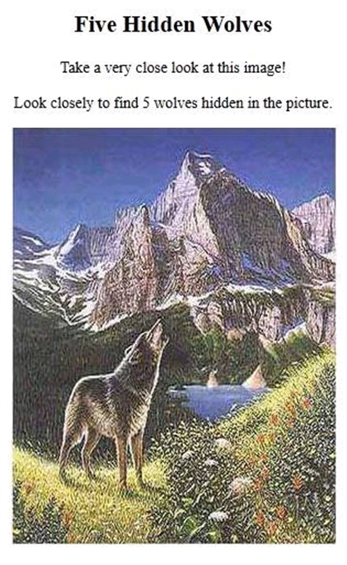 �T������ł���B���āA���C�H