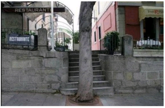 �Ȃ������Ȃ����H