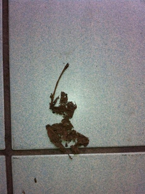 �ǂ����Ă��T�����C�ȗ����t