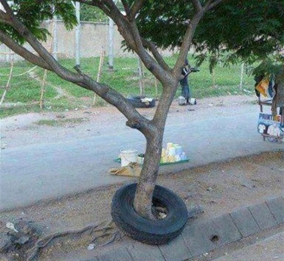 �ǂ����Ă����Ȃ����́H