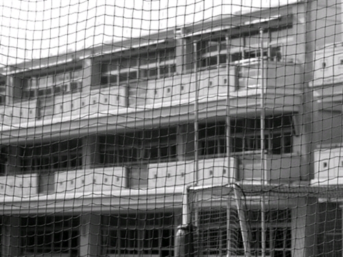 自ら怪談となった怪談グレート、田所君