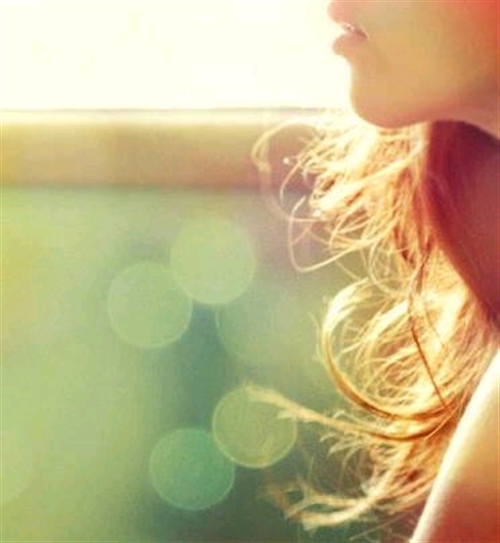 �B�����{�S