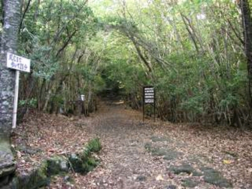 �x�m�̎��C�ł͕��ʎ��j������ɓ��삵�Ȃ�