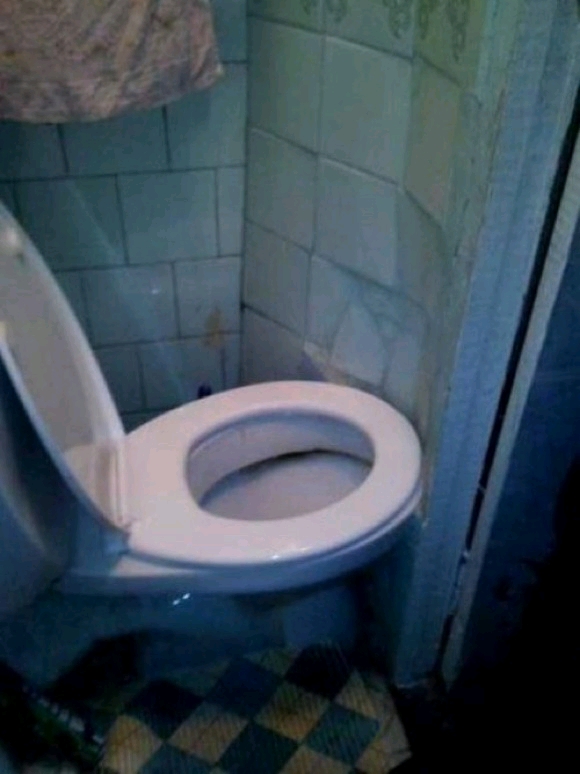 �e�L�g�[�ɍ��������I