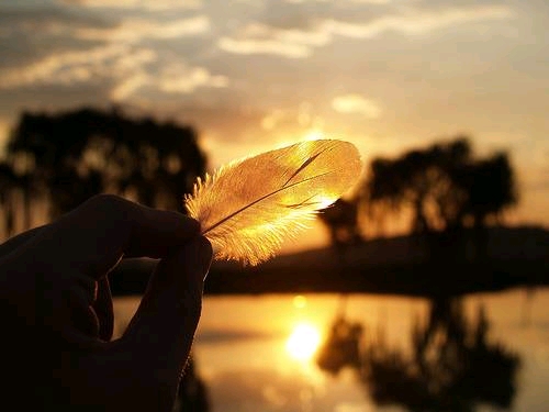 ��D���Ȃ��΂������