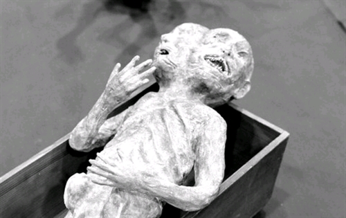 �����E�����X�N�i