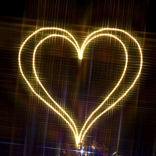 ���Ă͂܂鐔�������قǑ�؂Ȑl