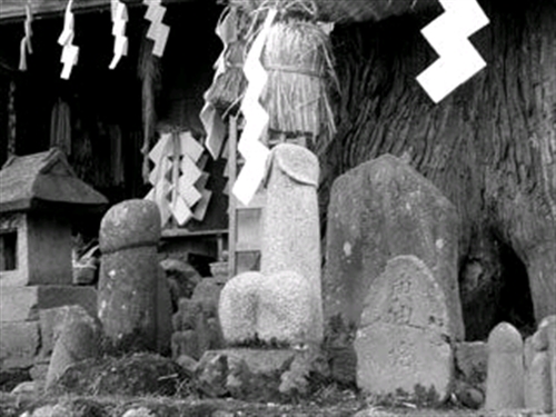 �����ɂ͍Ւd�ƃ��A���`���|�̌`���������_�̂炵�����̂�����A�����͂�������ăQ���Q���΂��Ă����B